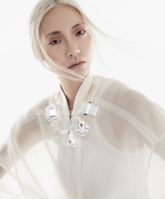 Soo Joo Park featured in  the Saks Fifth Avenue Transparency lookbook for Spring/Summer 2013