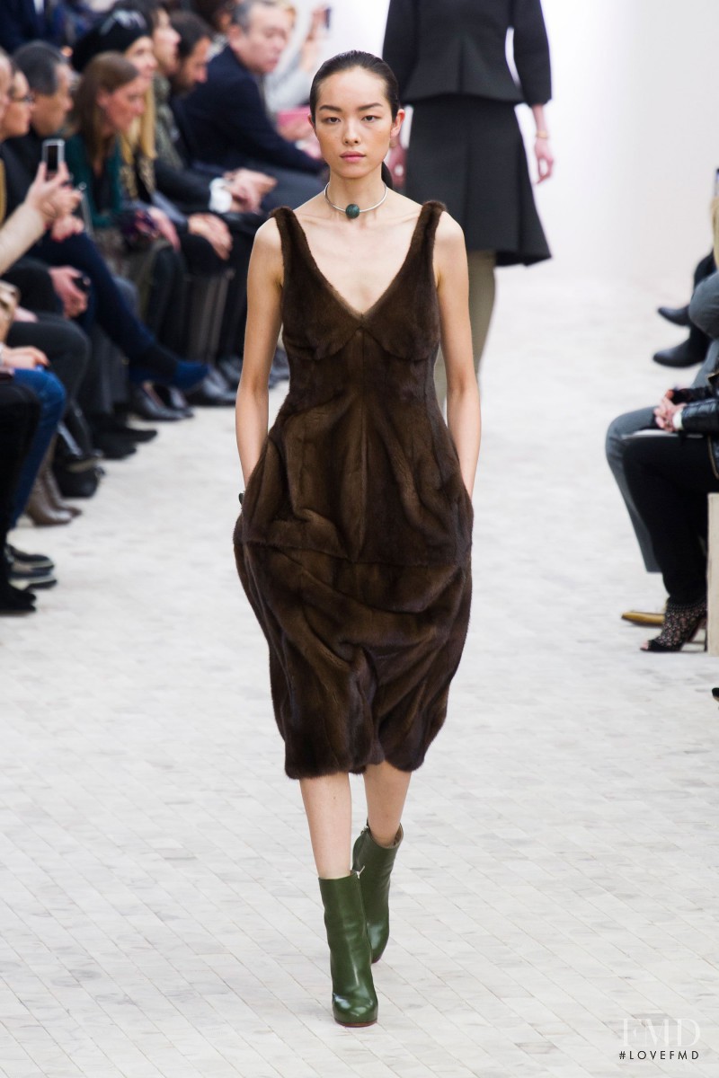 Fei Fei Sun featured in  the Celine fashion show for Autumn/Winter 2013