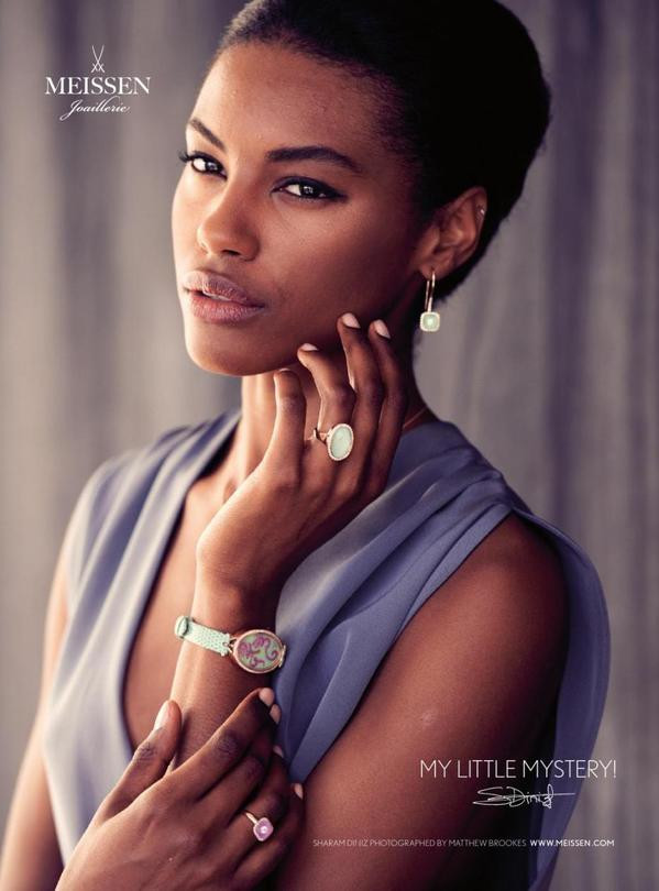 Sharam Diniz featured in  the Meissen advertisement for Spring/Summer 2013