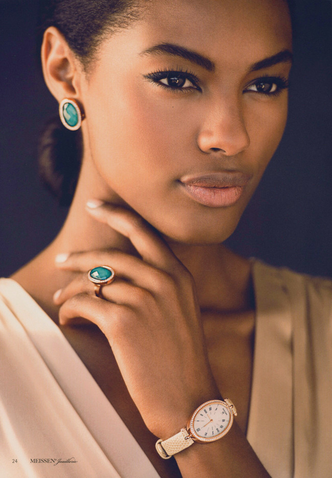 Sharam Diniz featured in  the Meissen advertisement for Autumn/Winter 2014