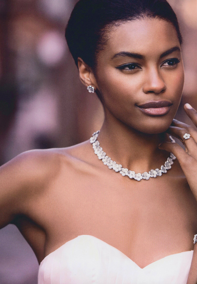 Sharam Diniz featured in  the Meissen advertisement for Autumn/Winter 2014