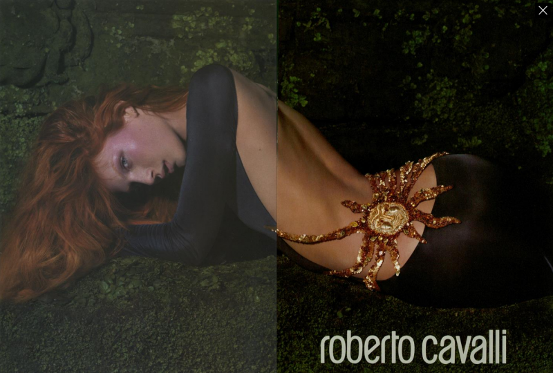 Angela Lindvall featured in  the Roberto Cavalli advertisement for Autumn/Winter 2004