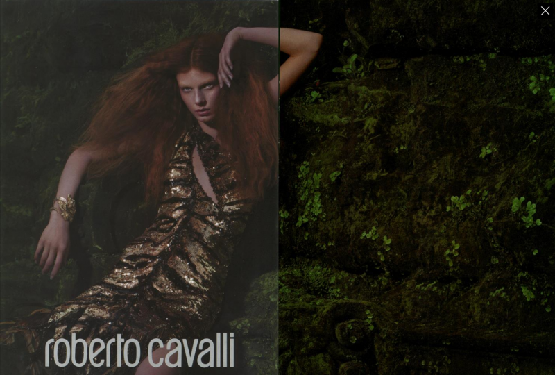 Angela Lindvall featured in  the Roberto Cavalli advertisement for Autumn/Winter 2004