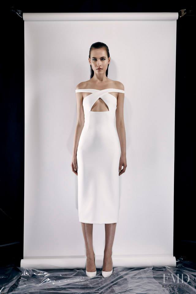 Cushnie Et Ochs fashion show for Resort 2014