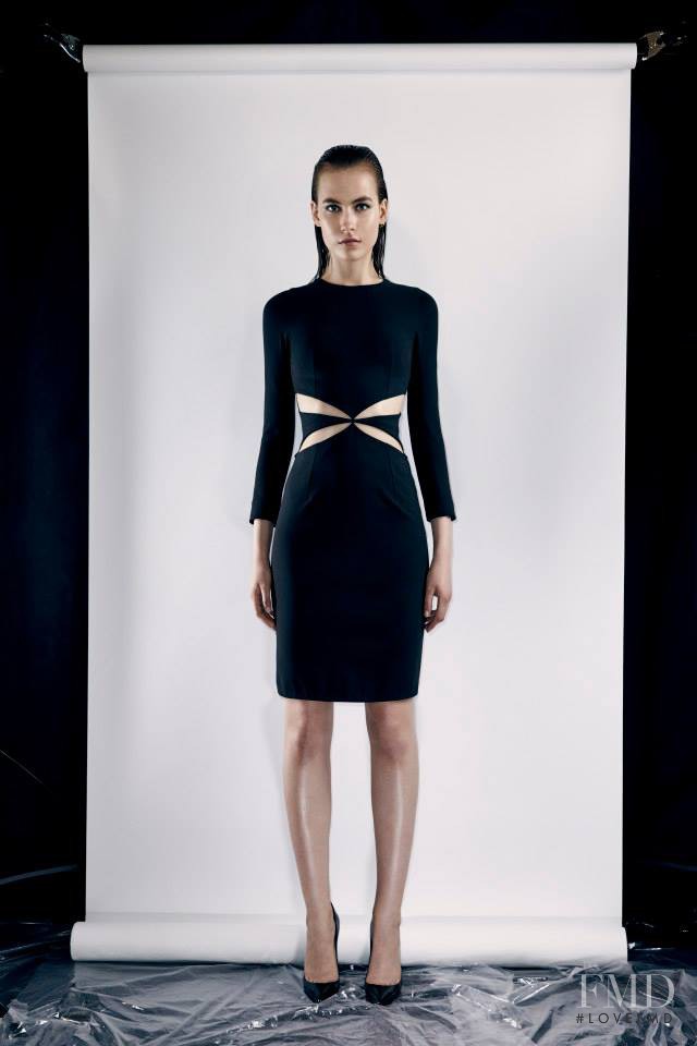 Cushnie Et Ochs fashion show for Resort 2014