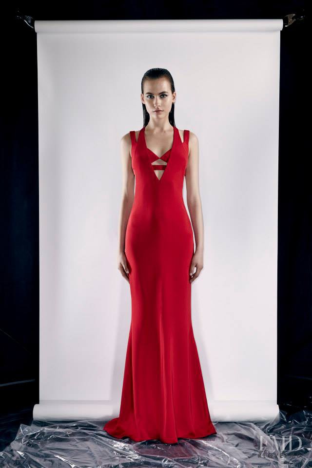 Cushnie Et Ochs fashion show for Resort 2014