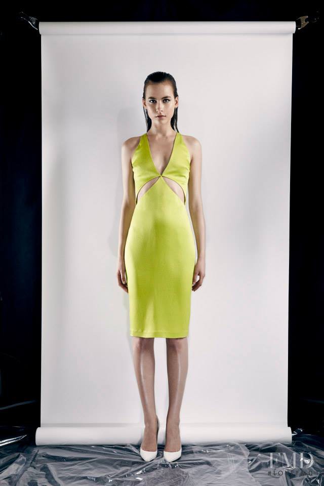 Cushnie Et Ochs fashion show for Resort 2014