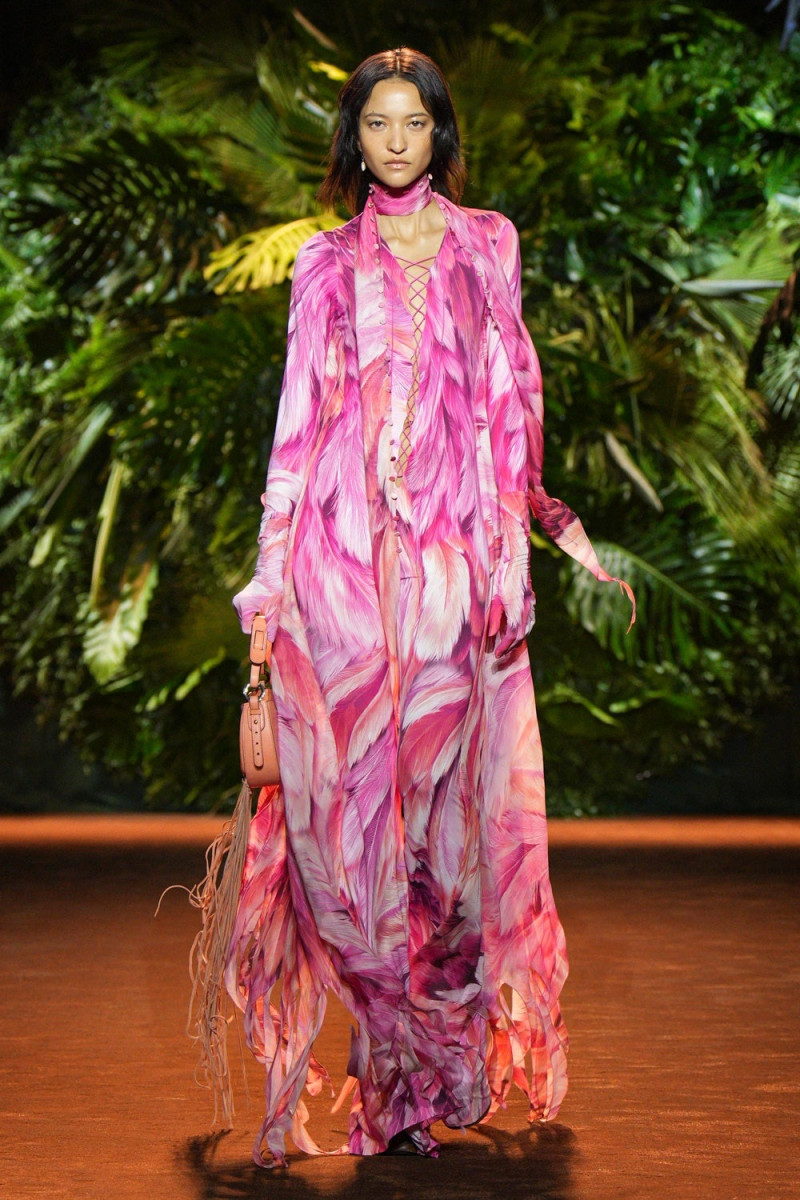 Roberto Cavalli fashion show for Spring/Summer 2024