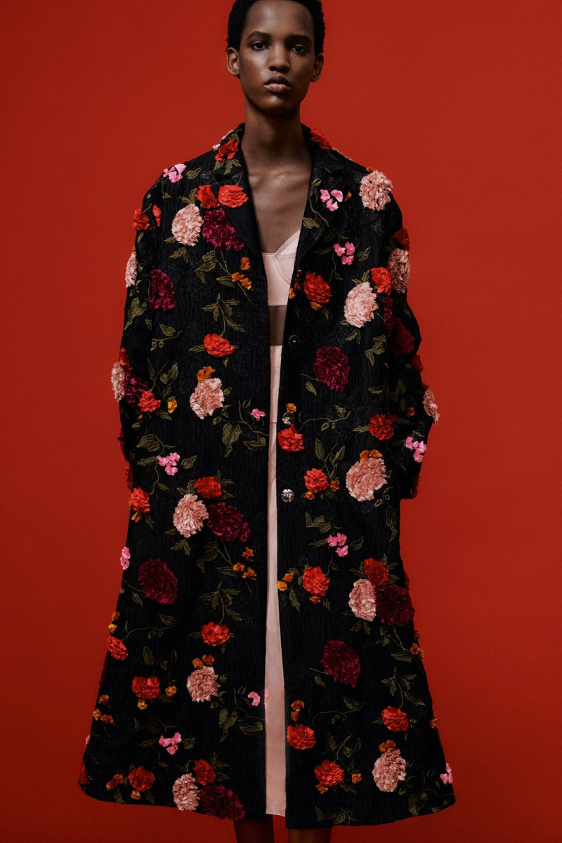 Erdem lookbook for Pre-Fall 2024