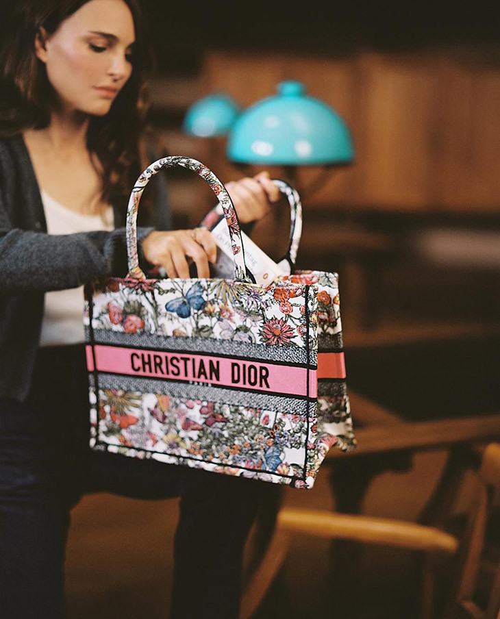 Christian Dior  Dior Book Tote Club advertisement for Spring 2024