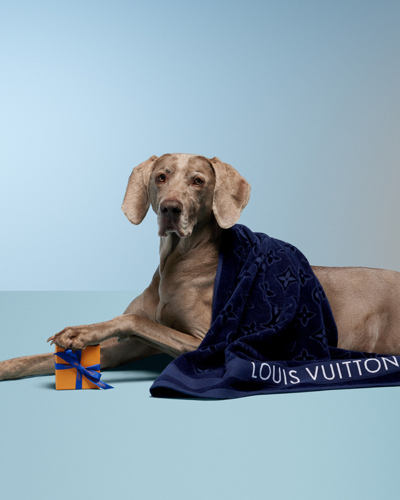 Louis Vuitton Louis Vuitton Mother\'s Day 2024 Campaign advertisement for Summer 2024