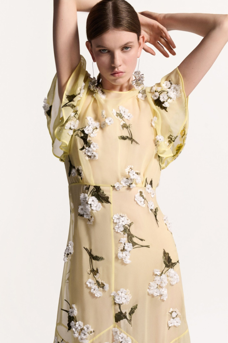 Erdem lookbook for Resort 2025