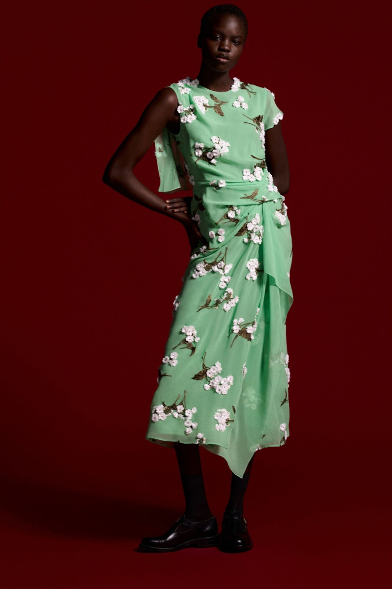 Erdem lookbook for Resort 2025