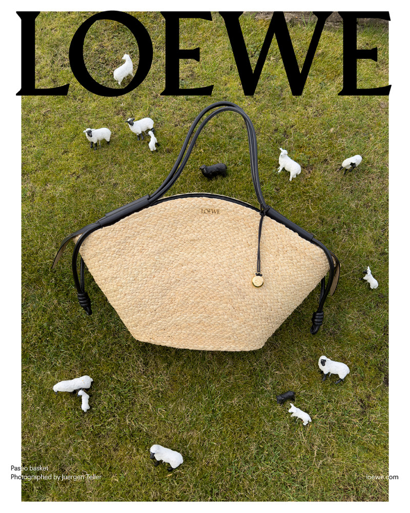 Loewe advertisement for Pre-Fall 2024