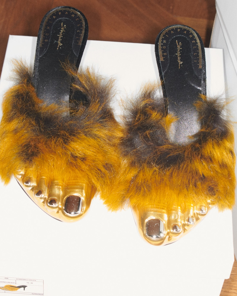 Schiaparelli advertisement for Autumn/Winter 2024