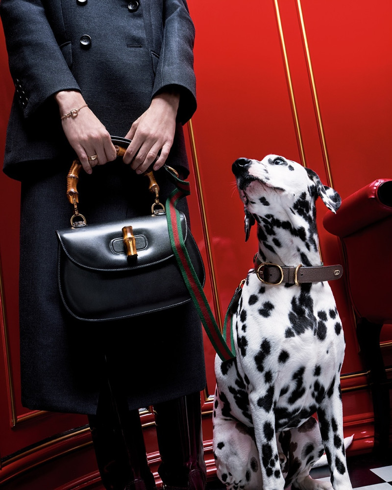 Gucci Gucci Gift Tales From Savoy advertisement for Holiday 2024