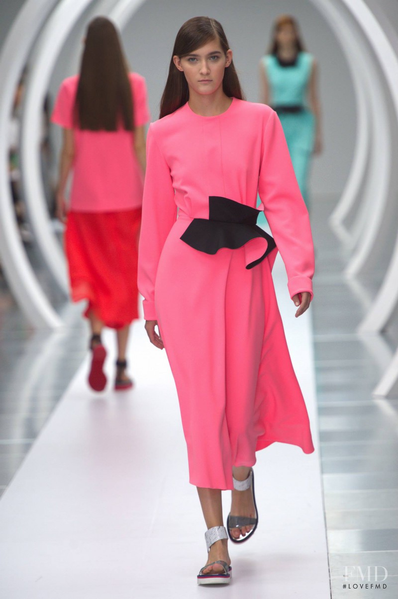 Roksanda Ilincic fashion show for Spring/Summer 2015