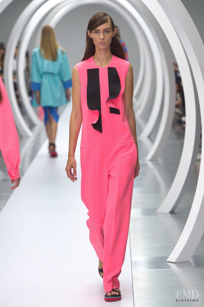 Roksanda Ilincic fashion show for Spring/Summer 2015