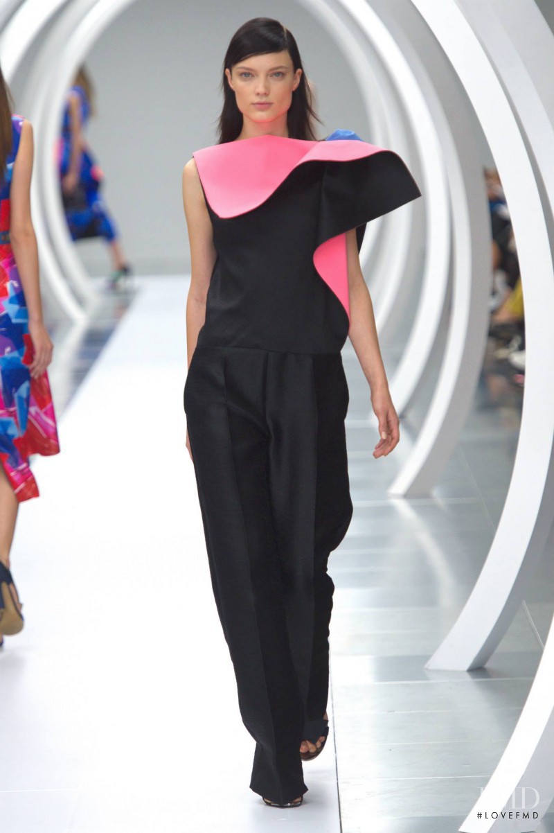 Roksanda Ilincic fashion show for Spring/Summer 2015