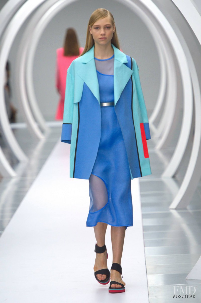 Roksanda Ilincic fashion show for Spring/Summer 2015