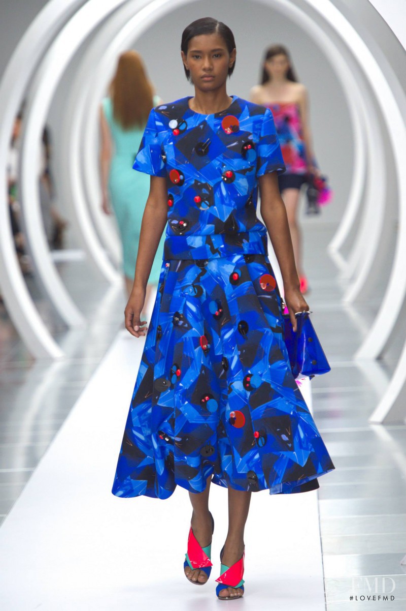 Roksanda Ilincic fashion show for Spring/Summer 2015