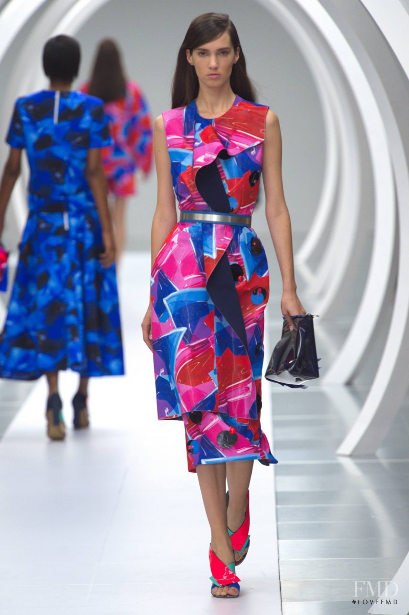 Roksanda Ilincic fashion show for Spring/Summer 2015