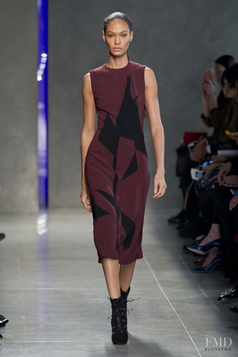 Joan Smalls featured in  the Bottega Veneta fashion show for Autumn/Winter 2014