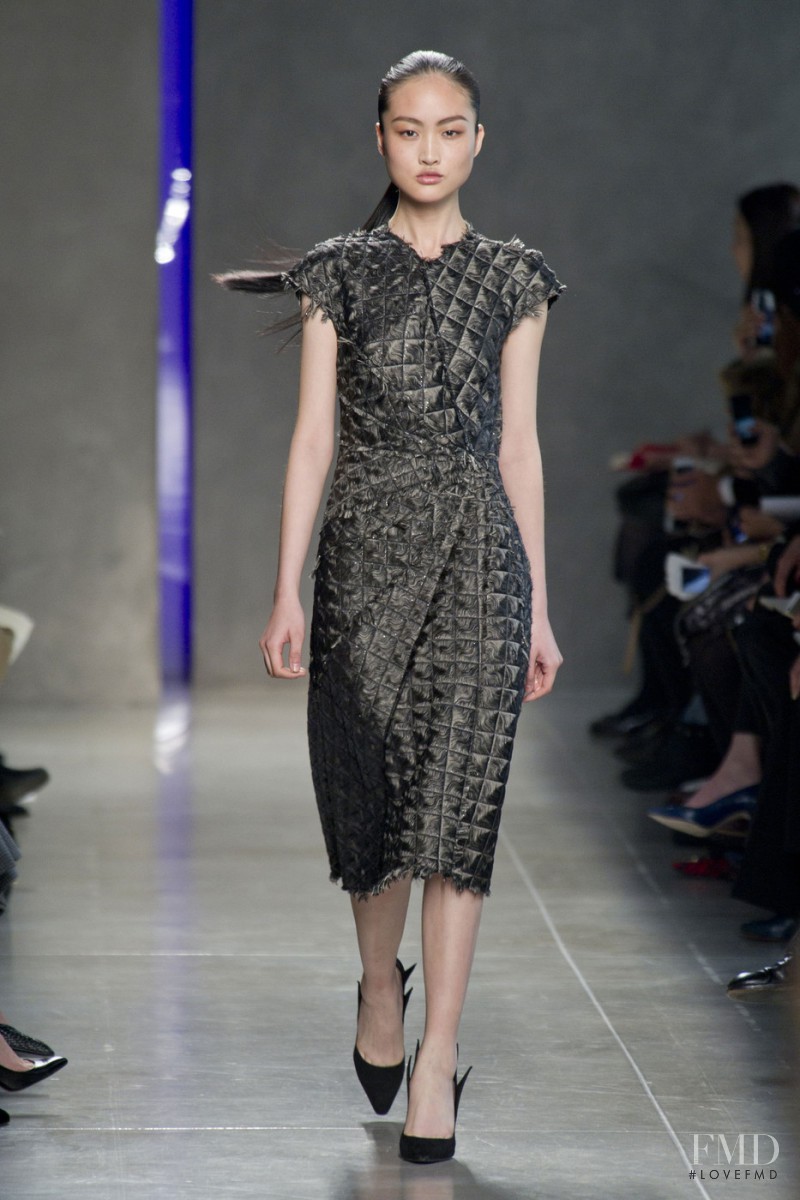 Jing Wen featured in  the Bottega Veneta fashion show for Autumn/Winter 2014