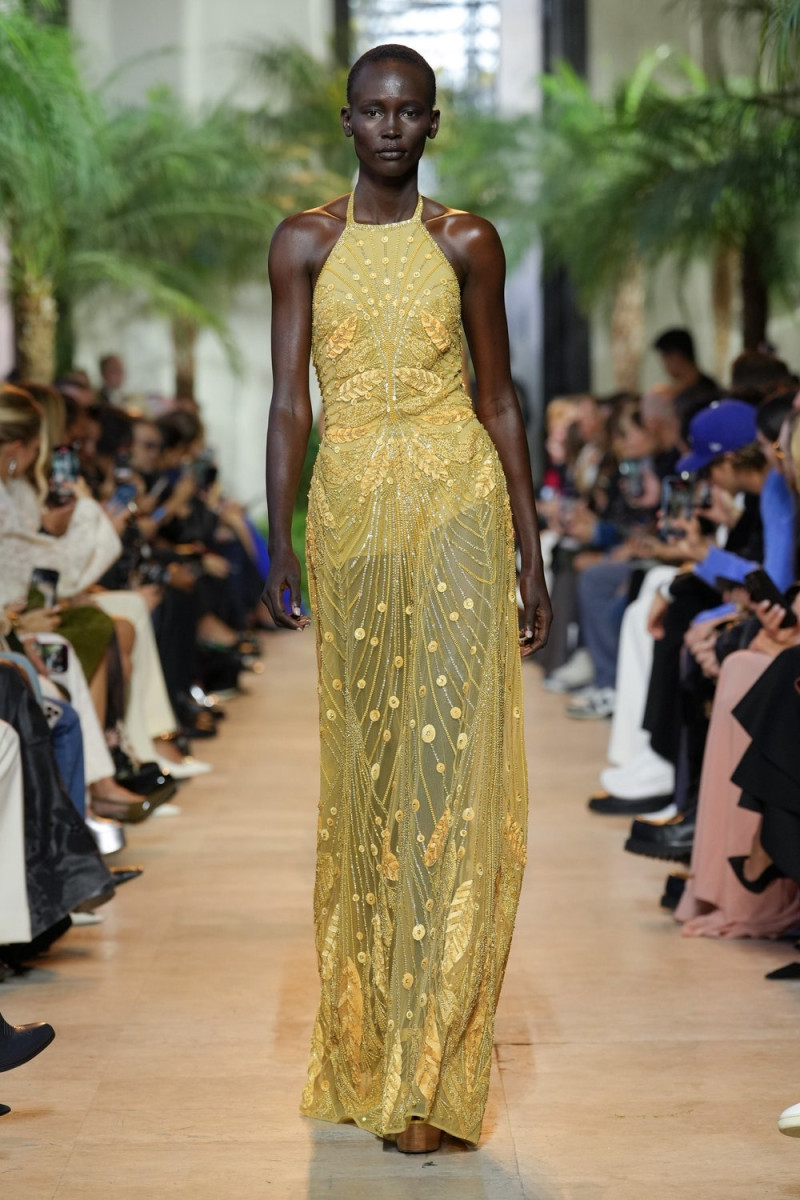 Elie Saab fashion show for Spring/Summer 2025