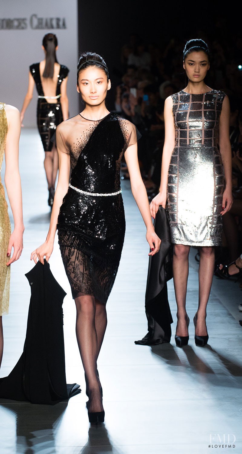 Georges Chakra fashion show for Autumn/Winter 2014