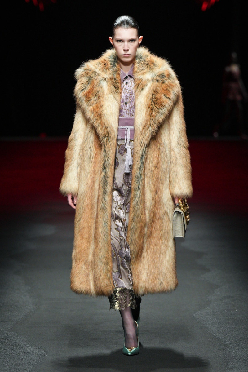 Roberto Cavalli fashion show for Autumn/Winter 2025