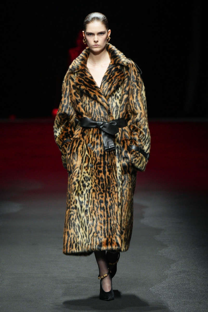 Roberto Cavalli fashion show for Autumn/Winter 2025