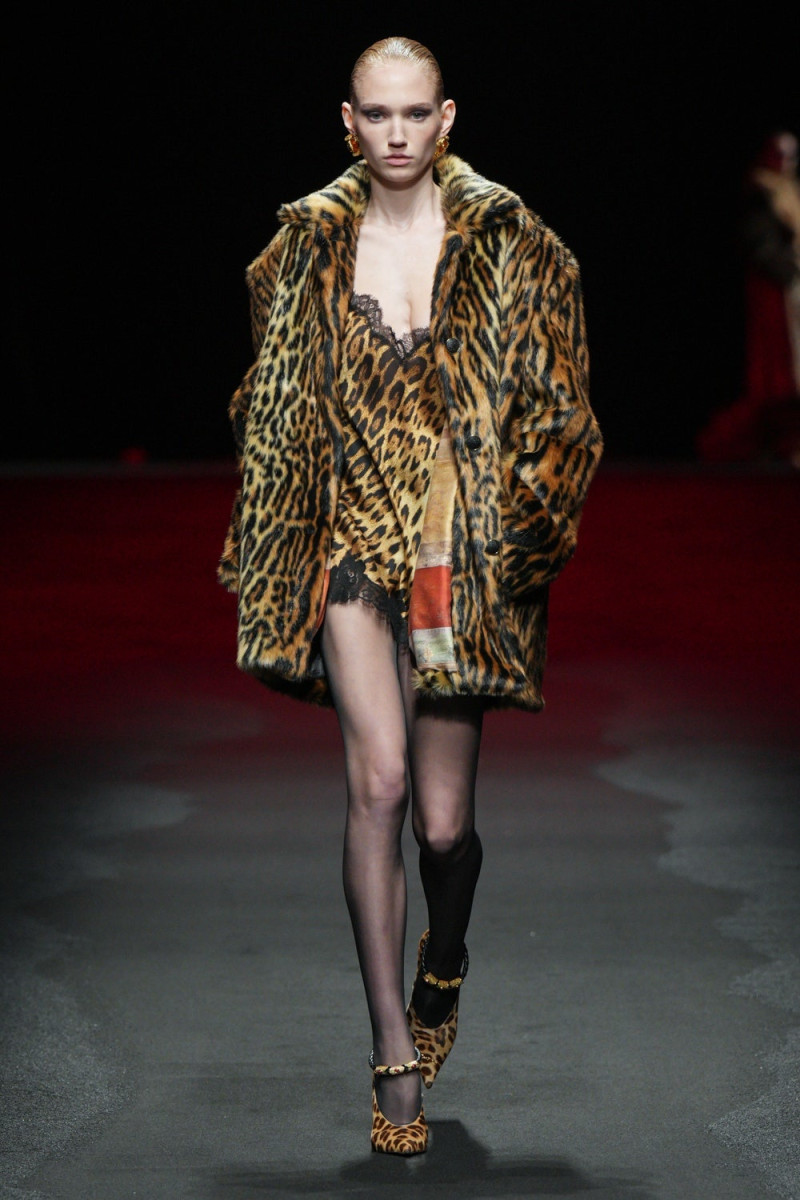 Roberto Cavalli fashion show for Autumn/Winter 2025