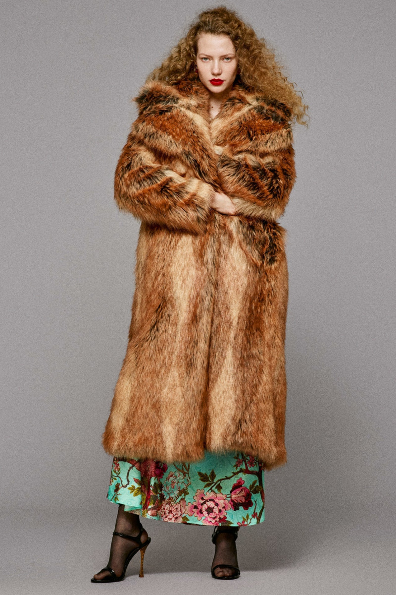 Roberto Cavalli lookbook for Pre-Fall 2025