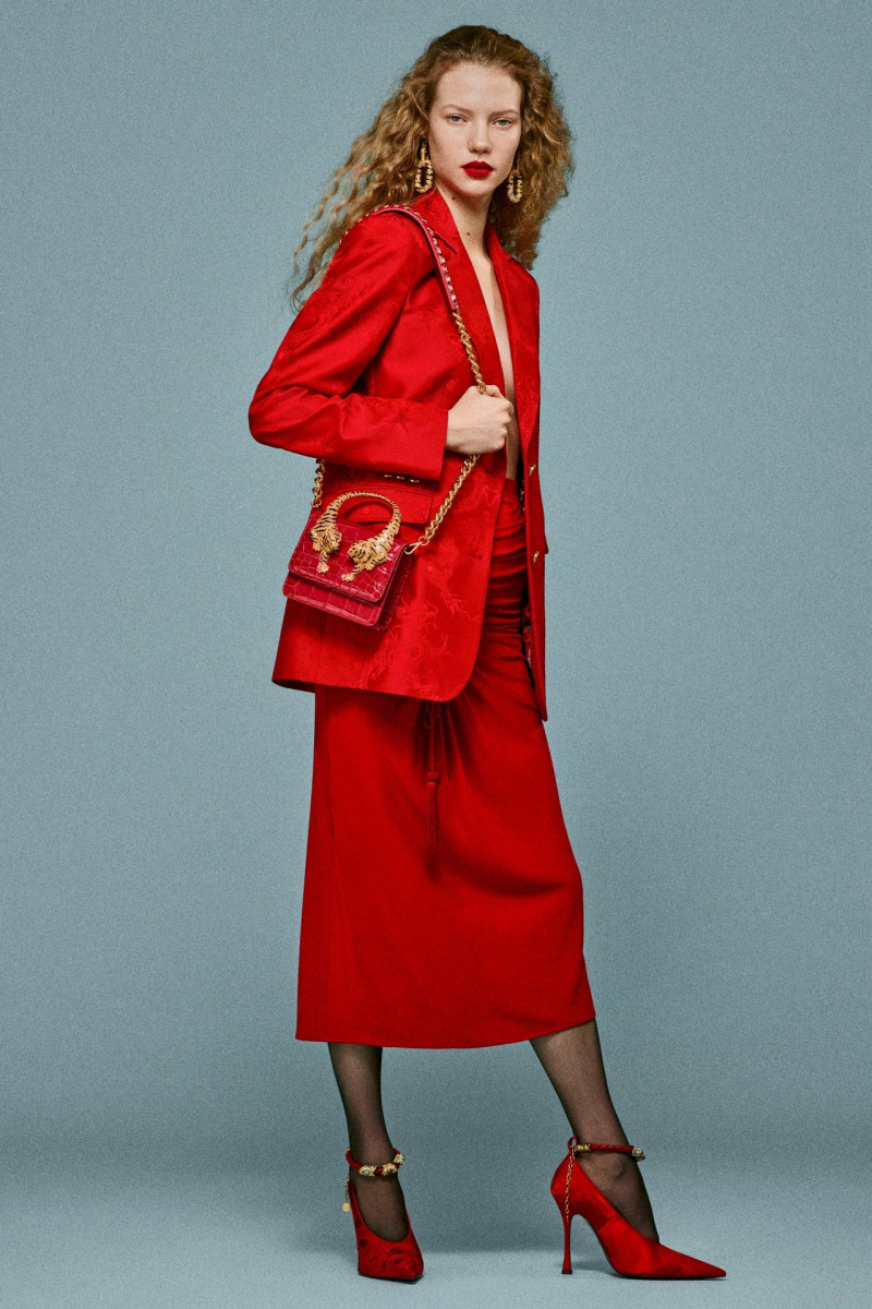 Roberto Cavalli lookbook for Pre-Fall 2025