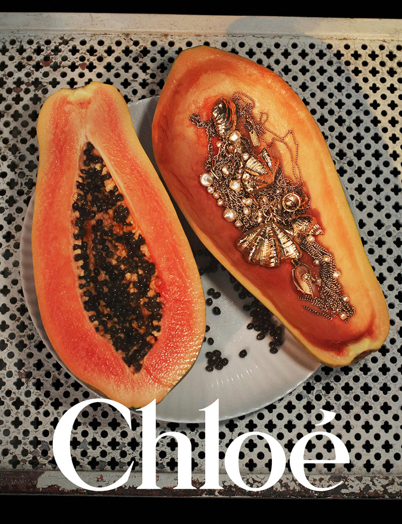 Rianne Van Rompaey featured in  the Chloe advertisement for Spring/Summer 2025