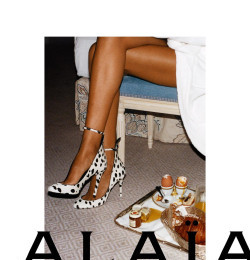 Pre-Fall 2024