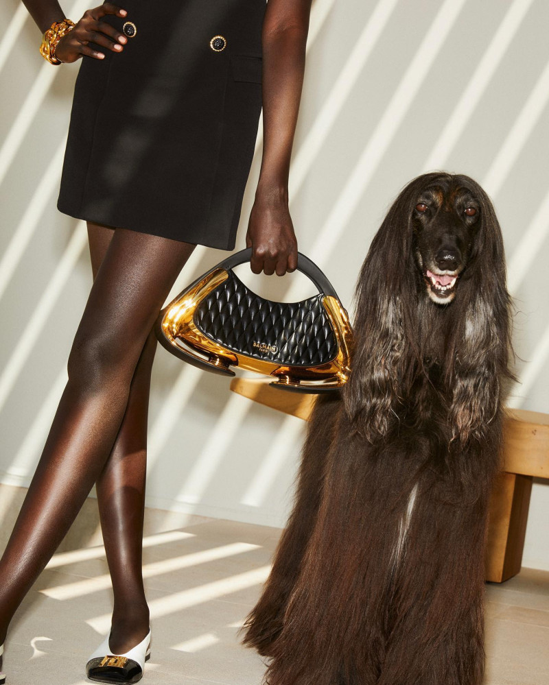 Balmain advertisement for Pre-Fall 2024