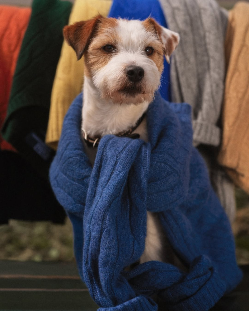 Polo Ralph Lauren Kids advertisement for Pre-Fall 2024