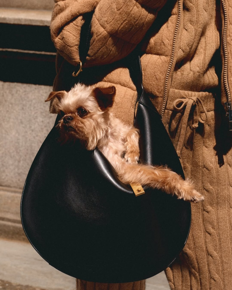 Polo Ralph Lauren advertisement for Autumn/Winter 2024