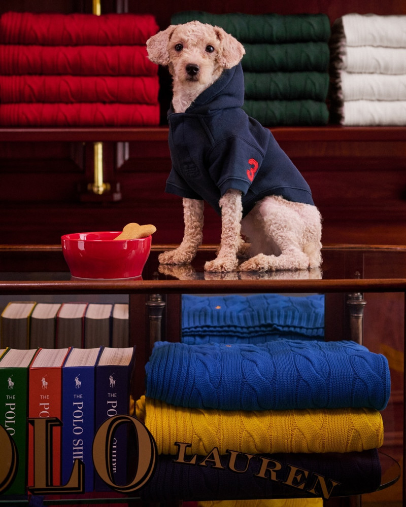 Polo Ralph Lauren RL Cable Knit advertisement for Holiday 2024