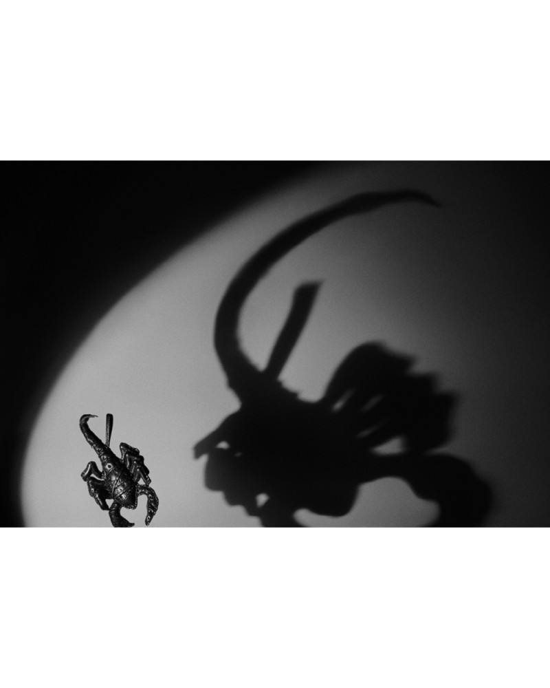 Saint Laurent advertisement for Winter 2022