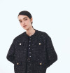 Pre-Fall 2025