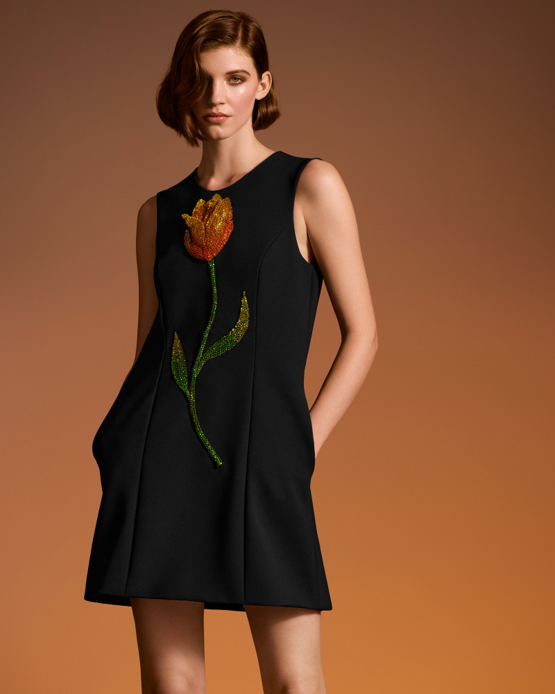 Pamella Roland lookbook for Pre-Fall 2025