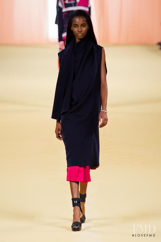 Tami Williams featured in  the Hermès fashion show for Spring/Summer 2015