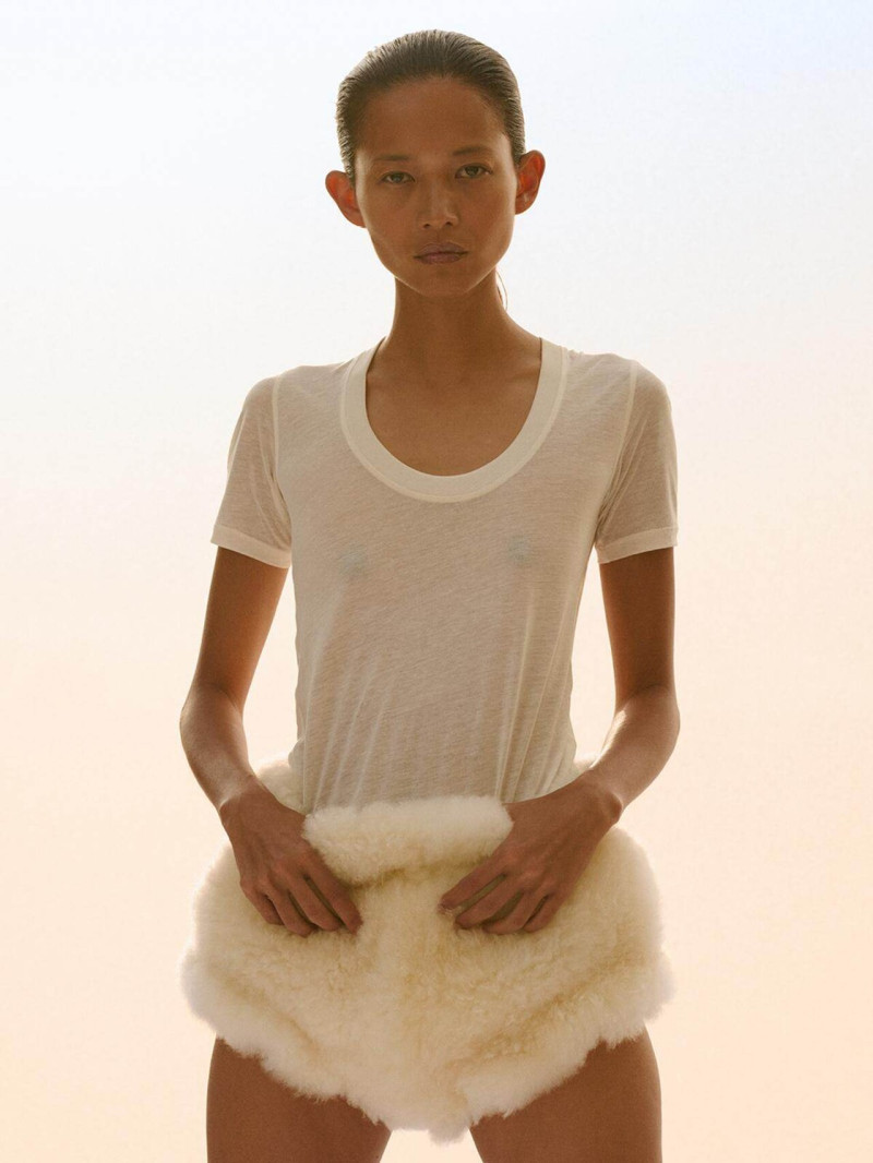 Phoebe Philo lookbook for Pre-Fall 2025