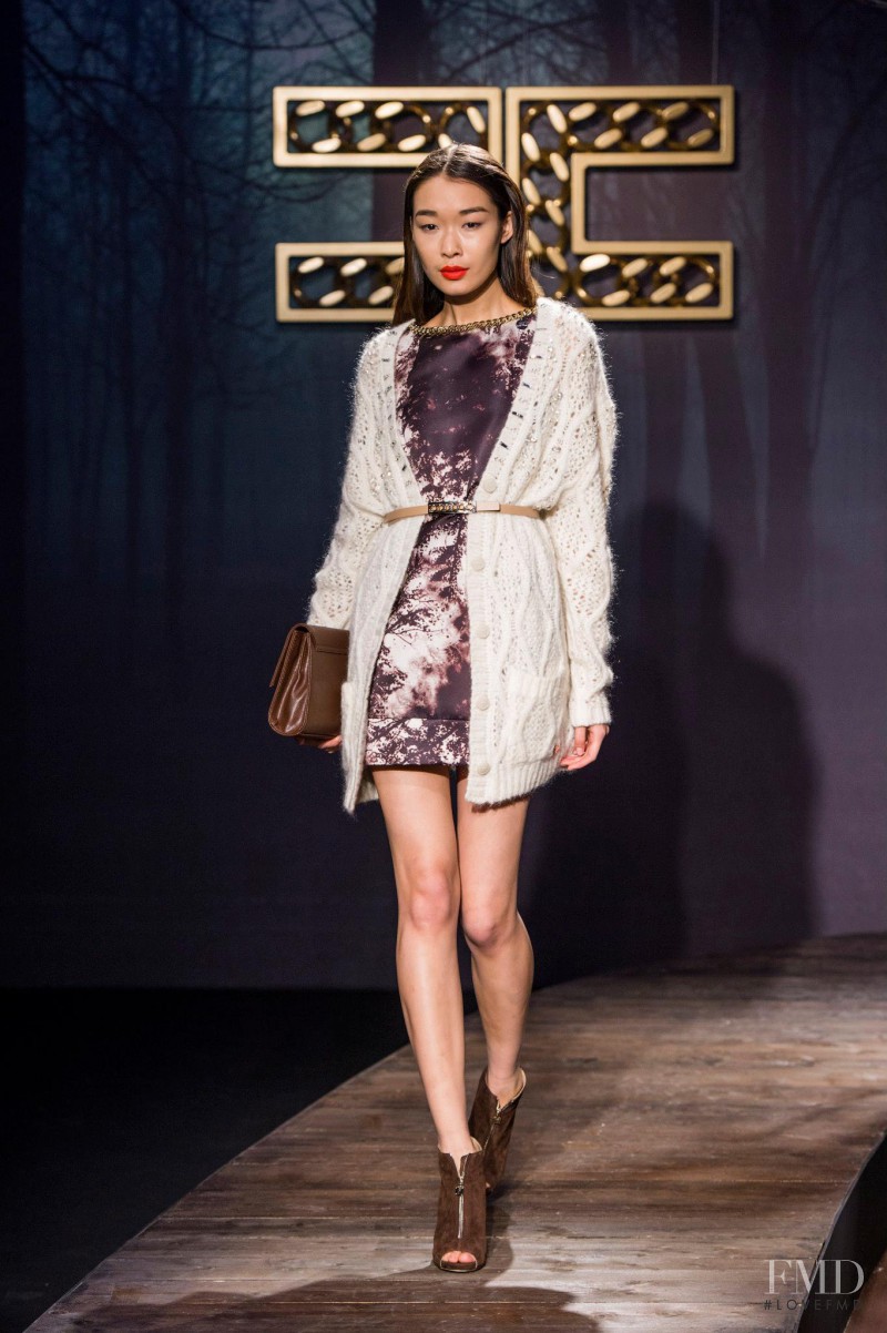 Elisabetta Franchi fashion show for Autumn/Winter 2014