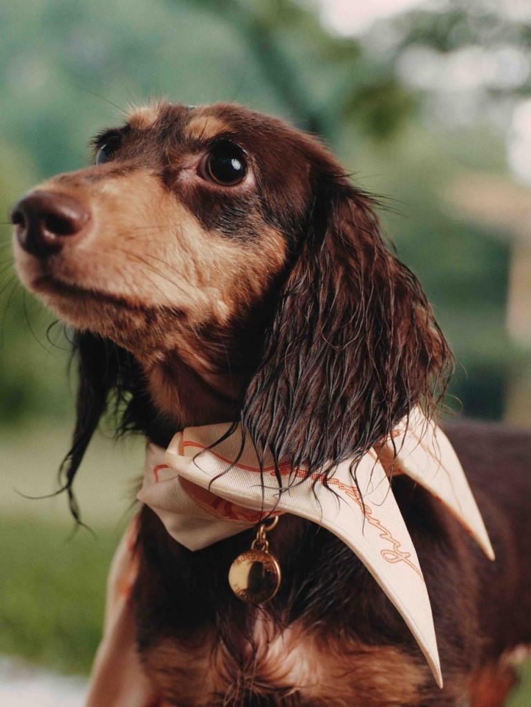 Burberry Chinese Valentine’s Day Collection advertisement for Autumn/Winter 2025