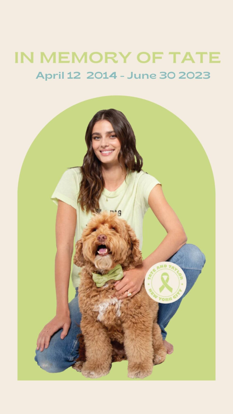 Taylor Hill featured in  the Tate & Taylor advertisement for Spring/Summer 2024