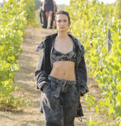 Autumn/Winter 2025
